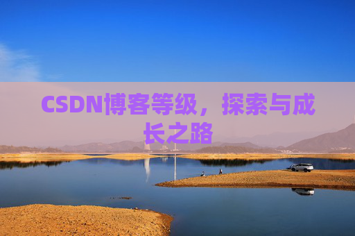 CSDN博客等级，探索与成长之路
